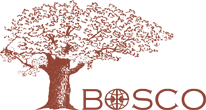 Bosco - Деревянные окна в Одессе